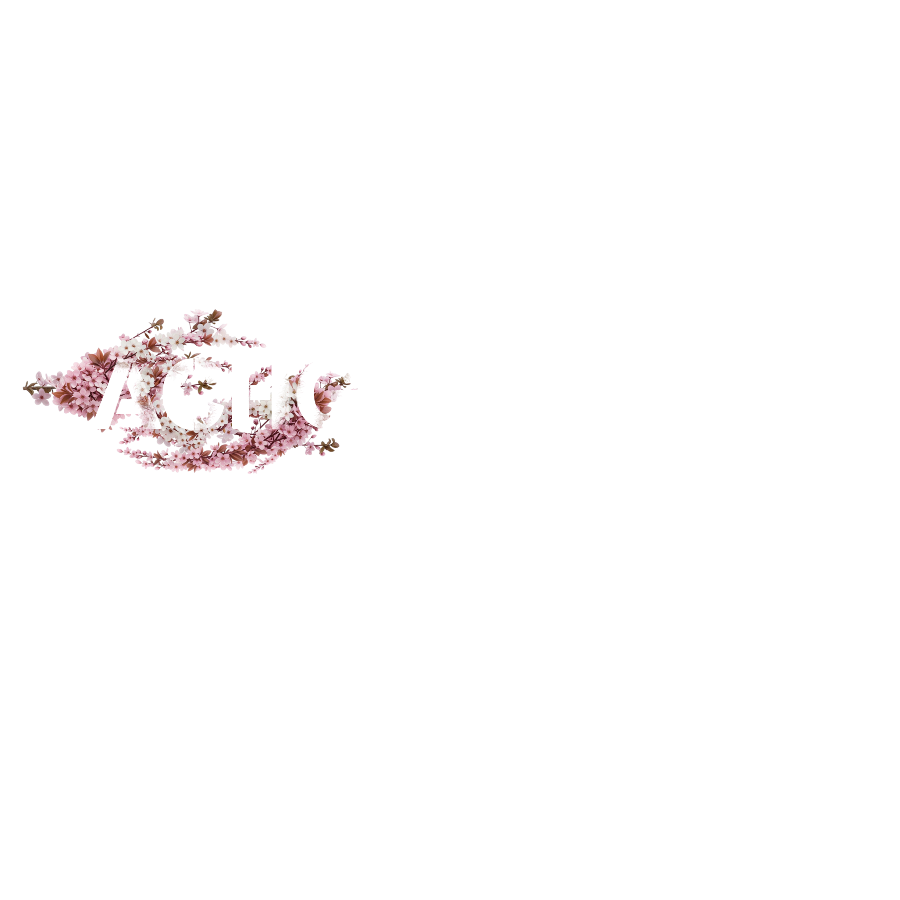 ACHGARMENTS